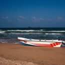 Pidgeon Island, Trincomalee 28