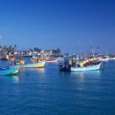 Ahungalle Harbour 26