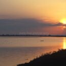 Udavalawe Reservoir 21