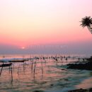 Stilt Fishermen, Ahangama, 16