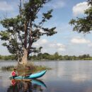 Habarana Lake 7