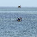 Fishing on the way to Point Pedro 6